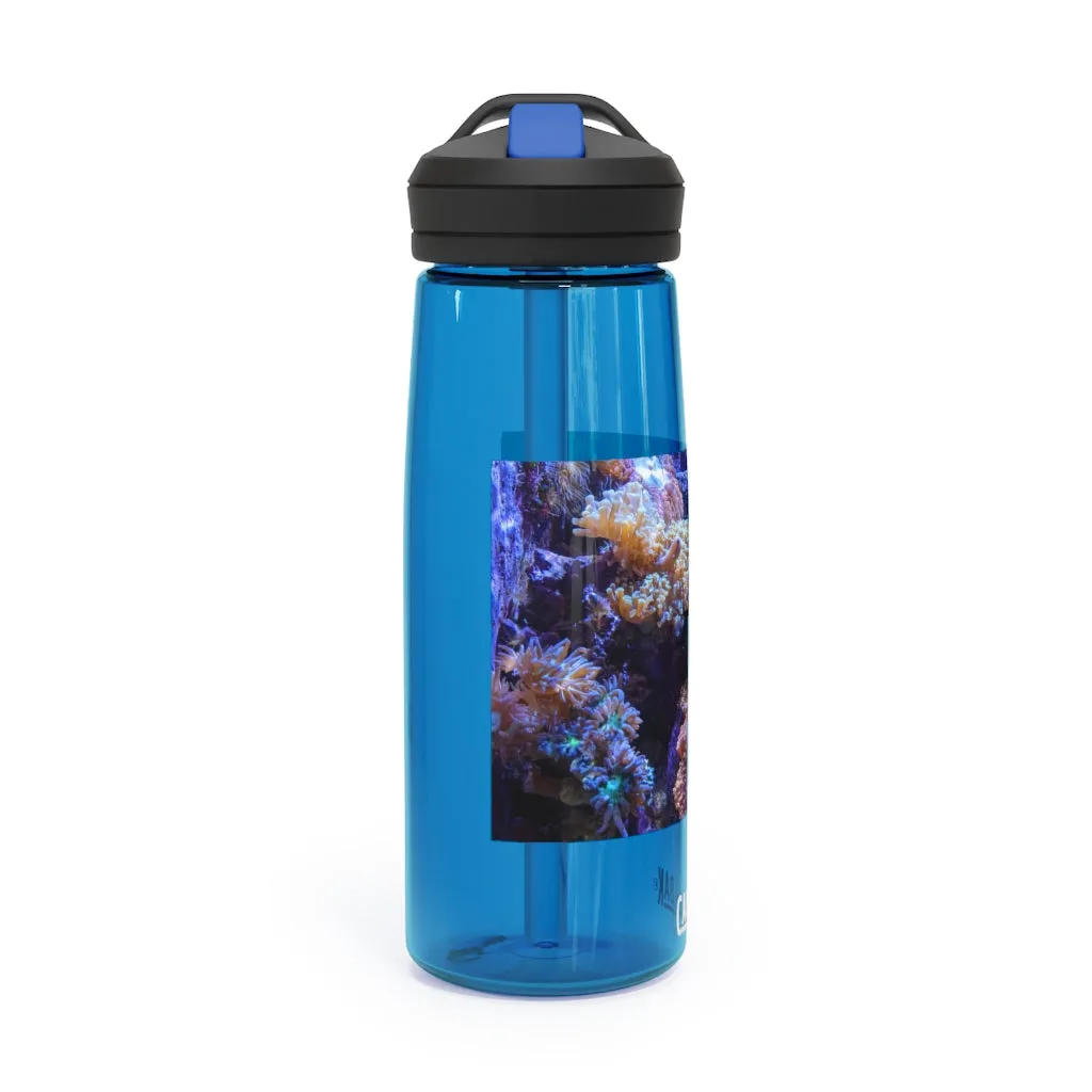 Aquarium CamelBak Eddy®  Water Bottle, 20oz / 25oz