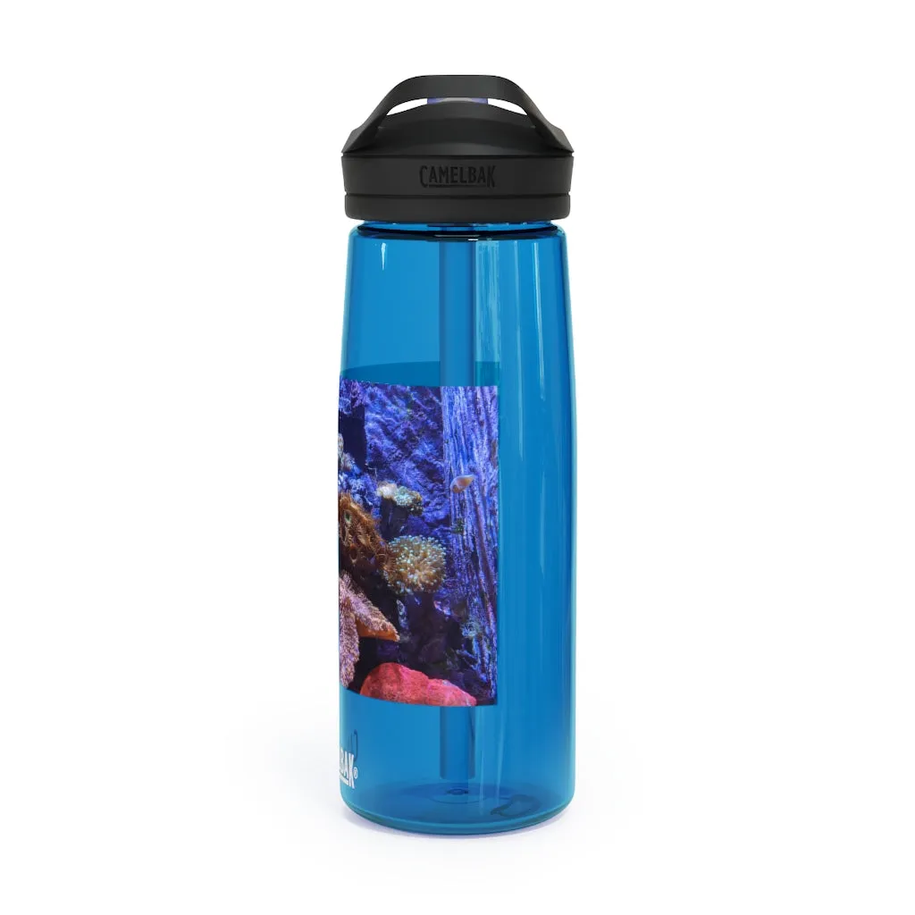 Aquarium CamelBak Eddy®  Water Bottle, 20oz / 25oz