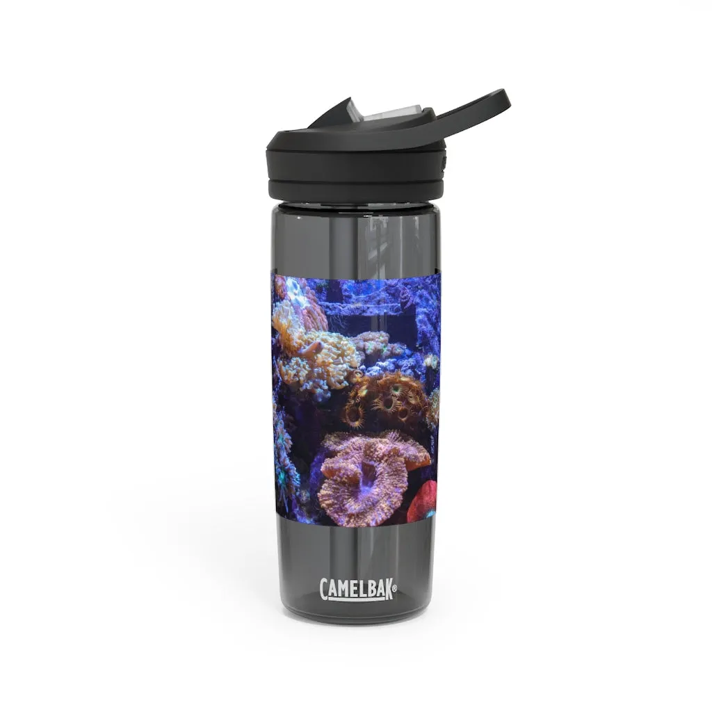 Aquarium CamelBak Eddy®  Water Bottle, 20oz / 25oz