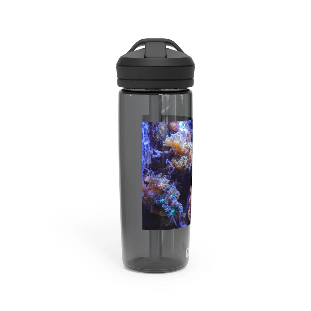 Aquarium CamelBak Eddy®  Water Bottle, 20oz / 25oz