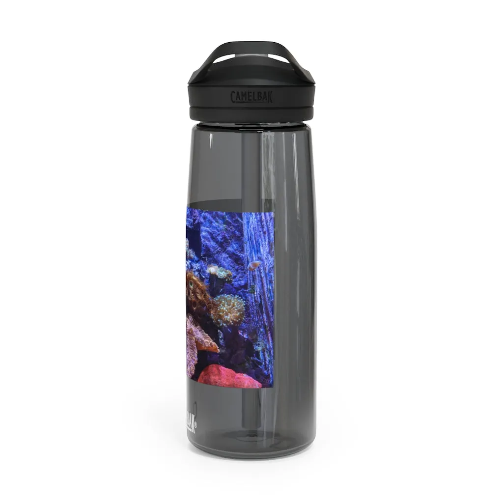 Aquarium CamelBak Eddy®  Water Bottle, 20oz / 25oz