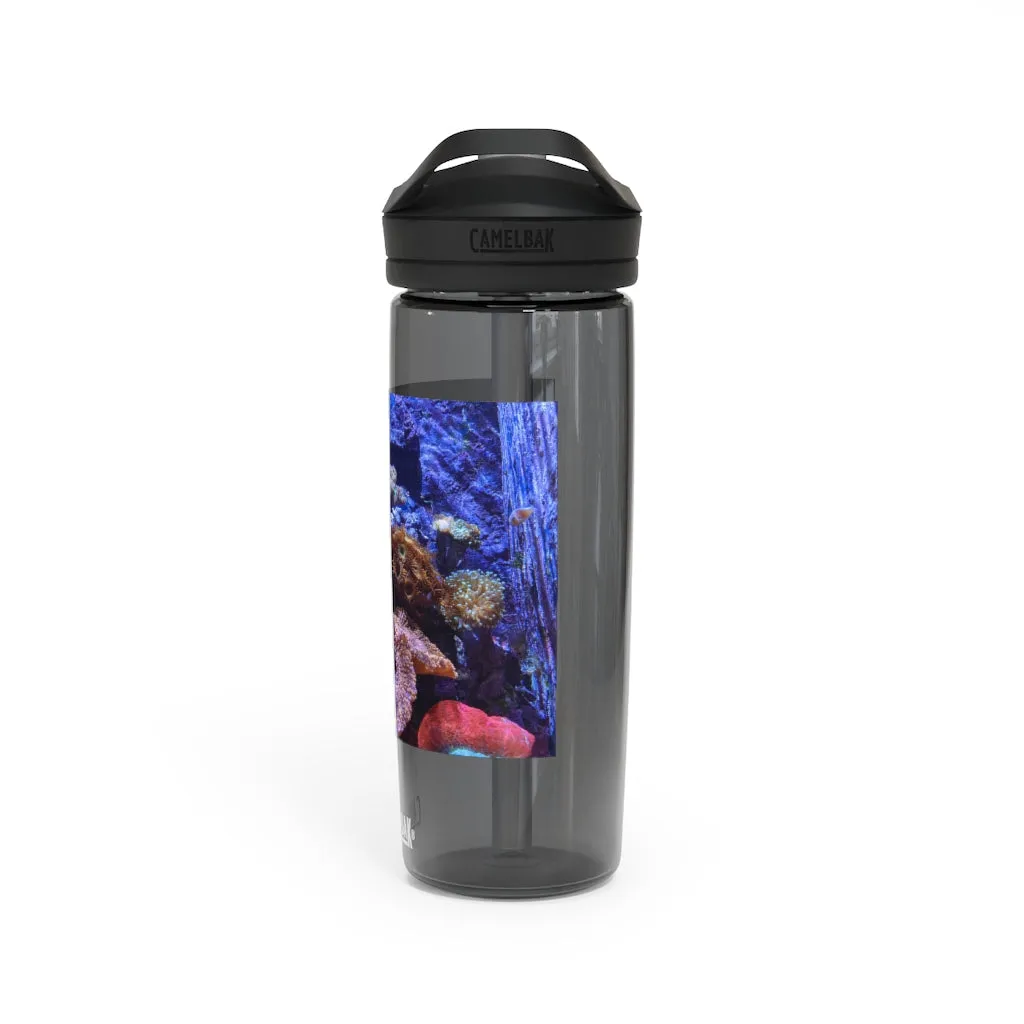 Aquarium CamelBak Eddy®  Water Bottle, 20oz / 25oz