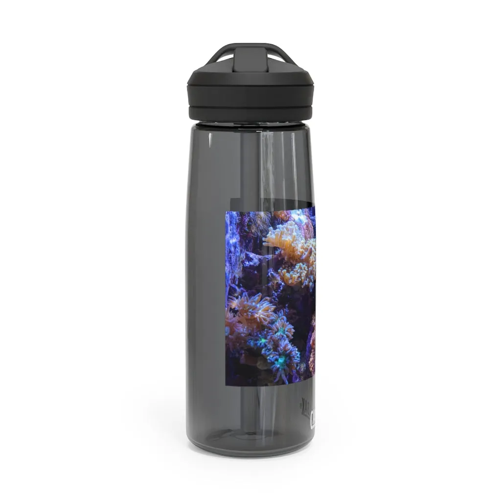 Aquarium CamelBak Eddy®  Water Bottle, 20oz / 25oz