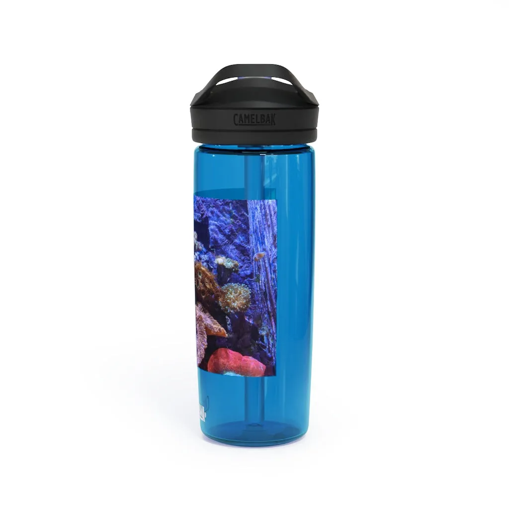 Aquarium CamelBak Eddy®  Water Bottle, 20oz / 25oz