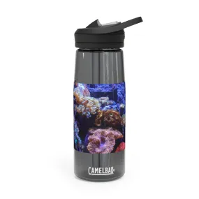 Aquarium CamelBak Eddy®  Water Bottle, 20oz / 25oz