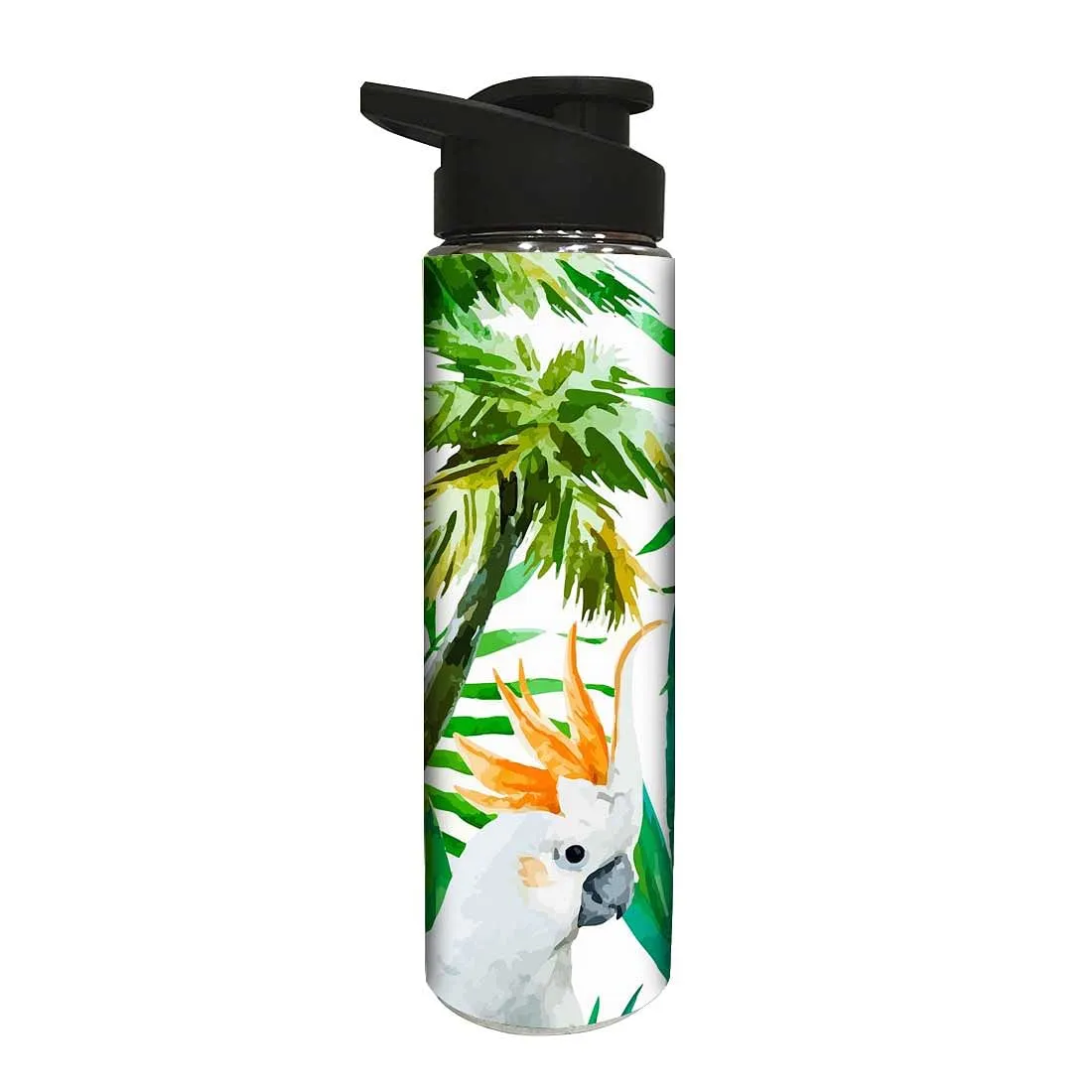 Designer Stainless Steel Sipper Bottle for Kids - Parrot