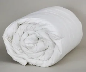 Down Etc. Aquaplush Comforter (Cotton Fabric)