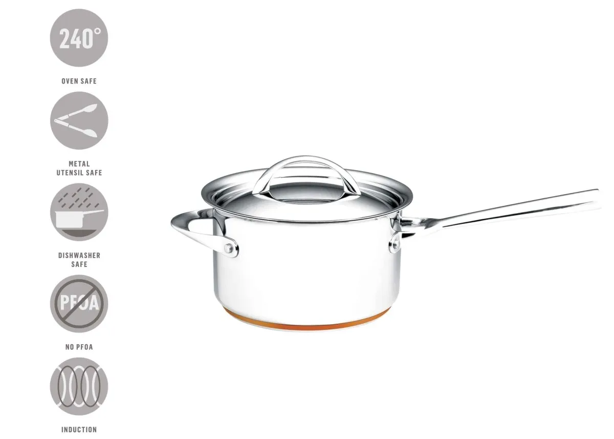 Essteele Per Vita Copper Base Stainless Steel Induction Covered Saucepan 20cm (3.4L)