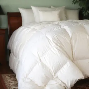 Natural Nights 700 Winter Weight Down Comforter-Queen (90" x 90")