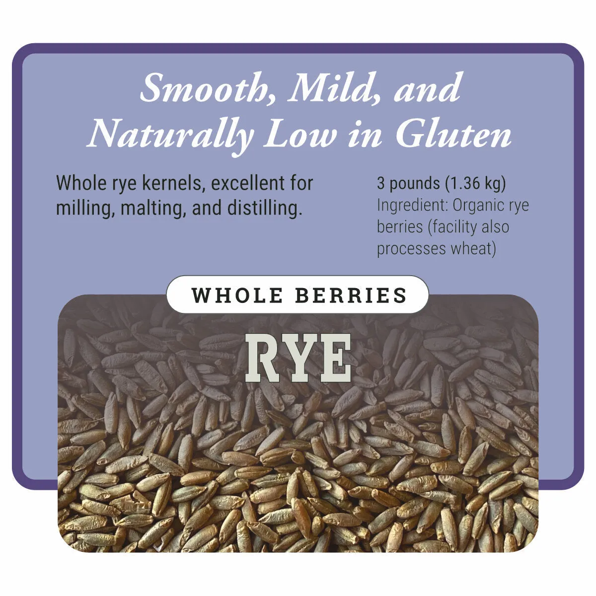 Organic Whole Rye Berries for Wholesale Distributors