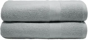 Silver Dobby Border Allure Bath Towel 25x50" 1pc